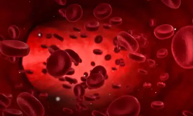 Memahami Komponen Sel Darah: Pilar Penting Kesehatan dan Fungsi Tubuh Manusia