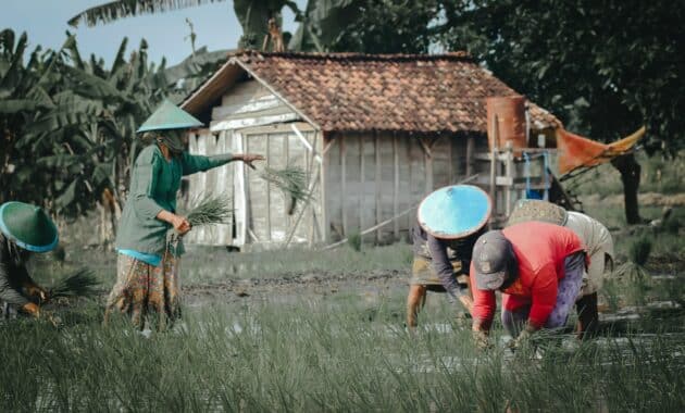 Memahami Kearifan Lokal, Nilai-nilai, dan Cara Hidup Unik Masyarakat Indonesia
