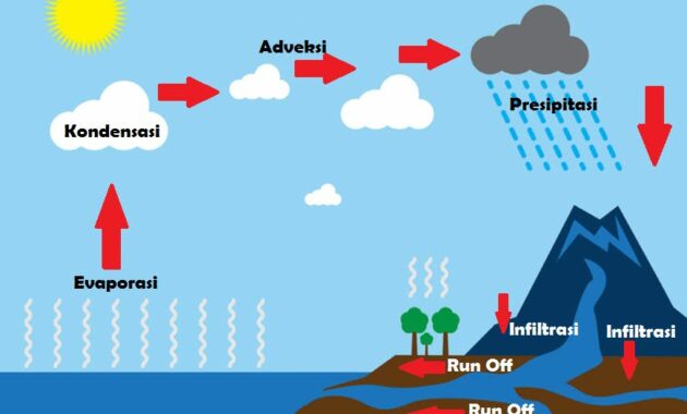 Pembentukan Awan dan Presipitasi: Proses yang Menghidupi Siklus Air