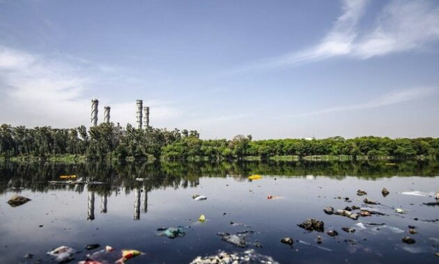 Langkah-langkah Menuju Lingkungan yang Lebih Bersih: Mencegah dan Mengurangi Polusi
