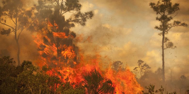 upaya penanggulangan kerusakan lingkungan