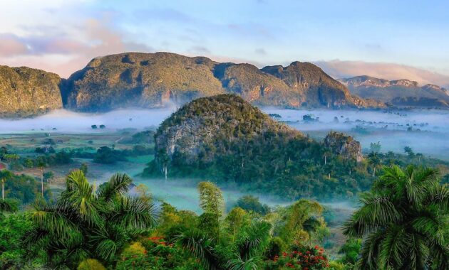 Jenis-jenis Sumber Daya Alam dan Perannya dalam Kehidupan Manusia