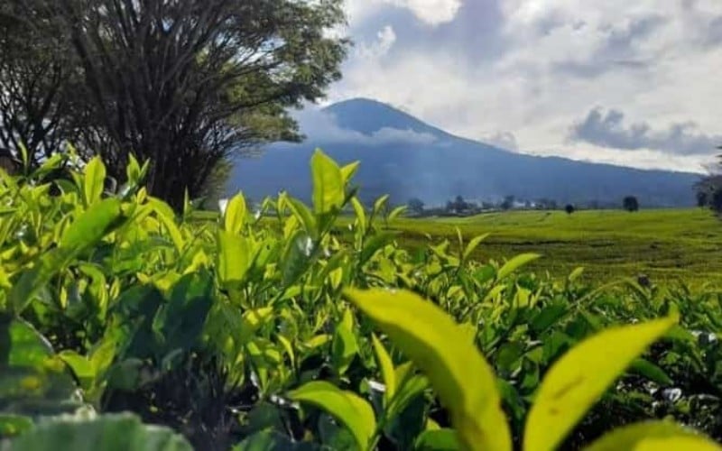 Pengelolaan sumber daya alam