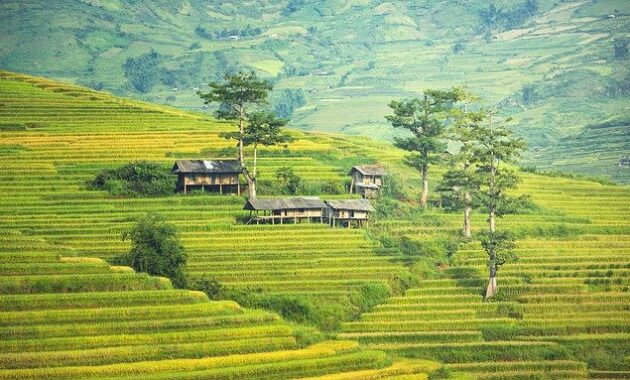 Kelebihan Pendekatan Kompleks Wilayah dalam Geografi