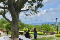 Manfaat Taman Terbuka