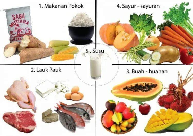Membuat rencana makanan
