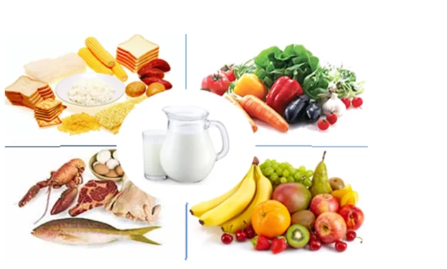 Tips Membuat Pola Makan Seimbang yang Anak Sukai