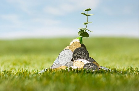 Kebijakan Pemerintah untuk Mendorong Investasi Hijau dan Pembangunan Ramah Lingkungan