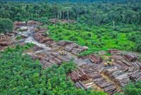 Deforestasi Amazon