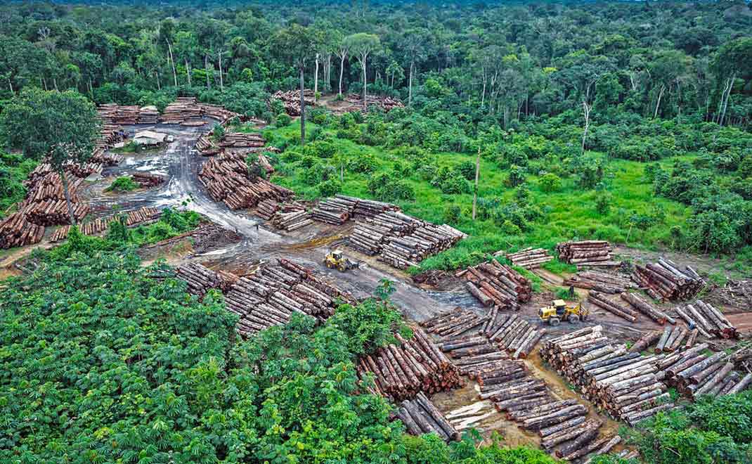 Deforestasi Amazon