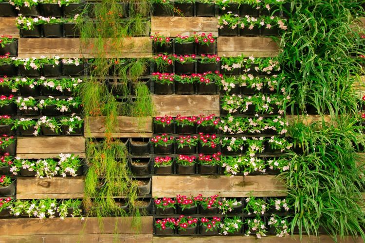 Membuat kebun vertikal