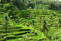 Destinasi ekowisata
