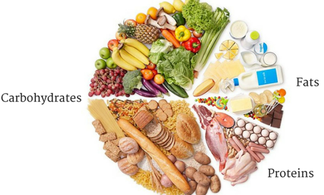 Pentingnya Nutrisi Seimbang