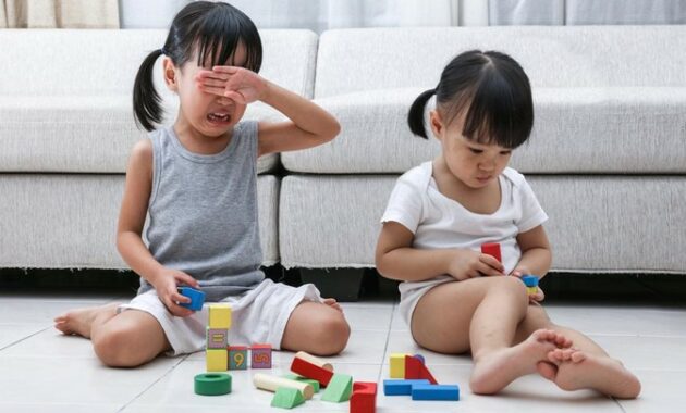 Perkembangan Emosi Anak