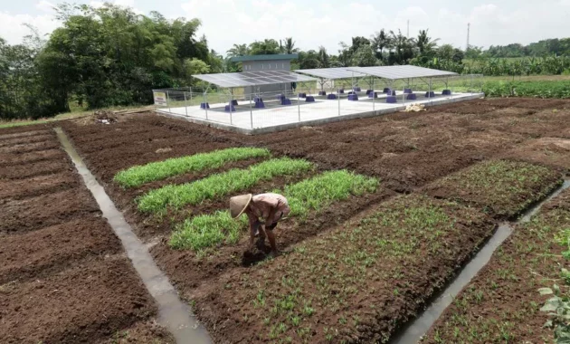 Irigasi Sederhana