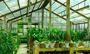 penggunaan greenhouse