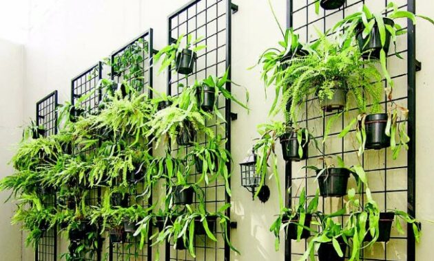 Jenis Tanaman yang Cocok untuk Kebun Vertikal
