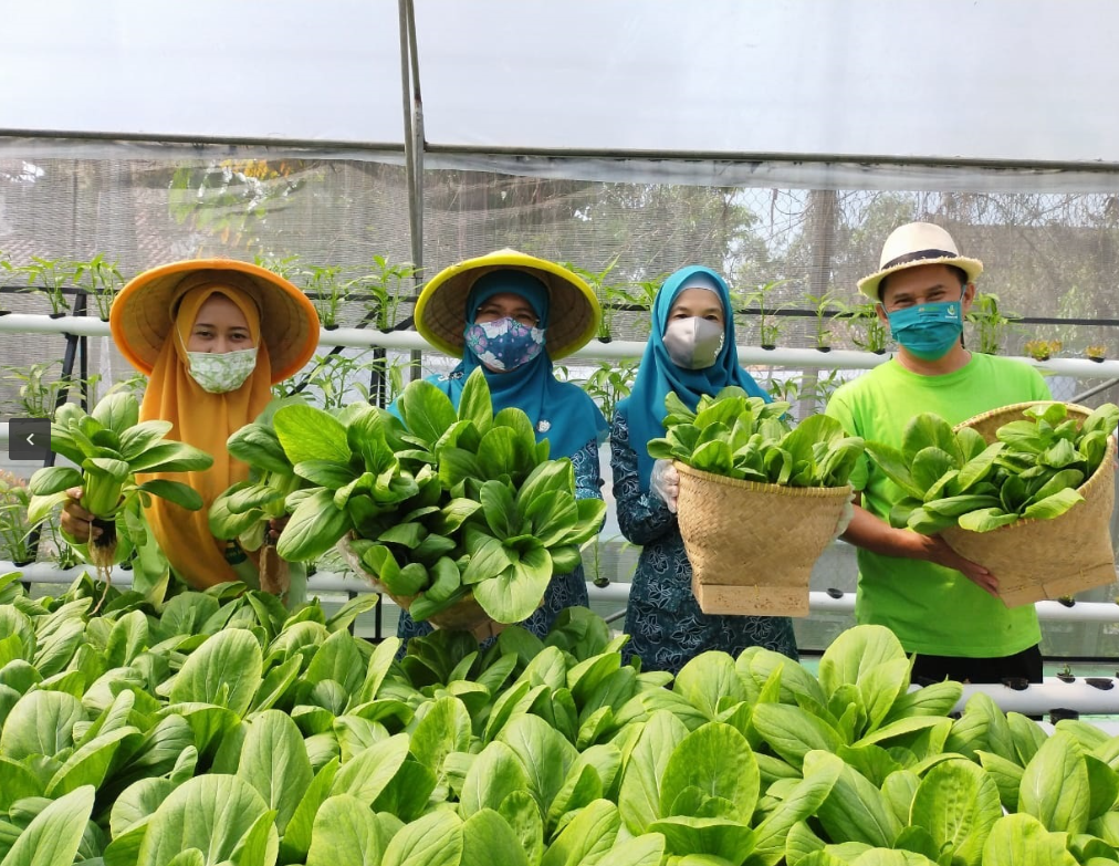 Metode urban farming