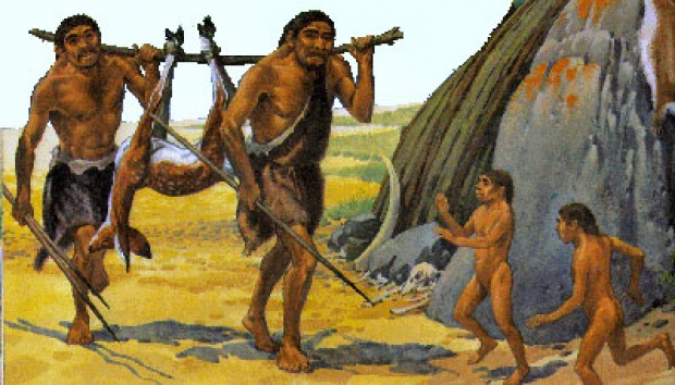 Karakteristik Homo Erectus di Indonesia