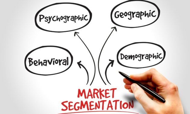 Contoh Penerapan Segmentasi dalam Kampanye Nyata