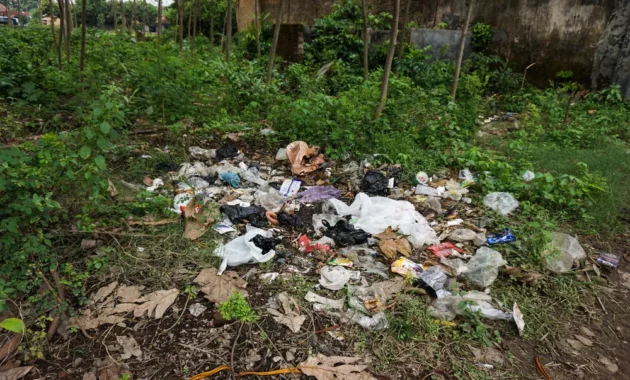Dampaknya Sampah terhadap Lingkungan dan Kesehatan