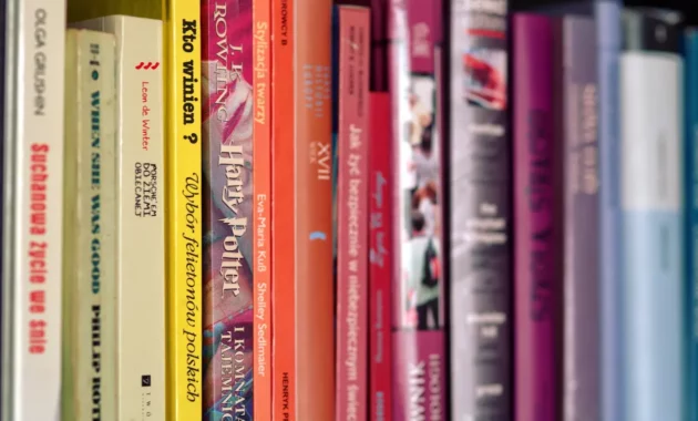 Pengaruh Globalisasi terhadap Tema dan Gaya Novel Indonesia