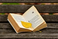 Peran novel