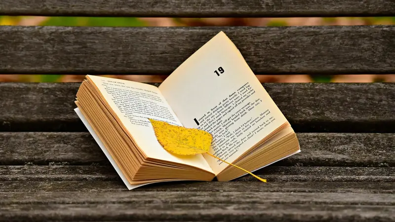 Peran novel