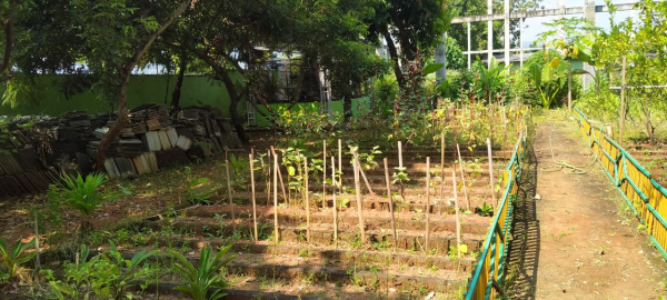 Manfaat Kebun Sekolah