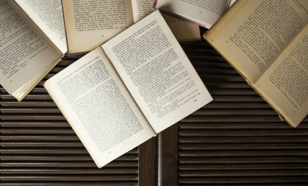Novel Sebagai Refleksi Perjuangan dan Sejarah Bangsa