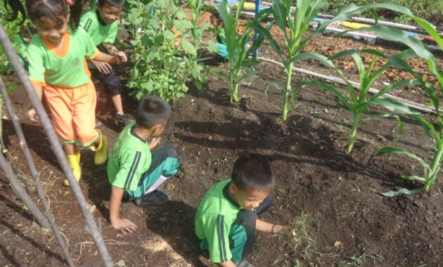 Mengintegrasikan Pelajaran dan Praktik Berkebun