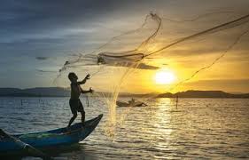 Laut bagi kehidupan