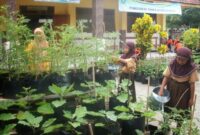Manfaat kebun sekolah