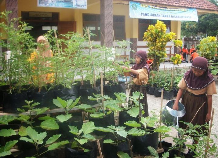 Manfaat kebun sekolah