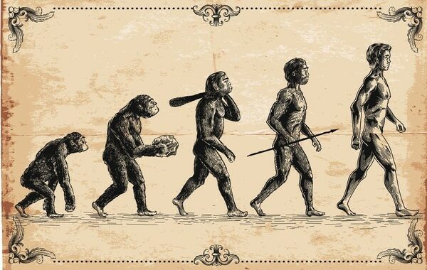 Bukti-bukti Ilmiah tentang Evolusi