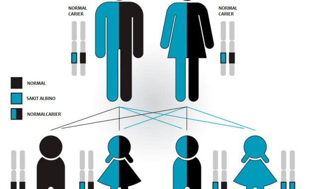 Peranan Genetika dalam Bidang Kedokteran
