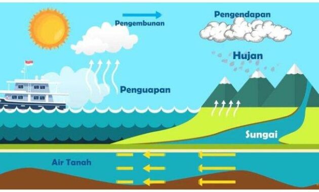 Peranan Air dalam Ekosistem